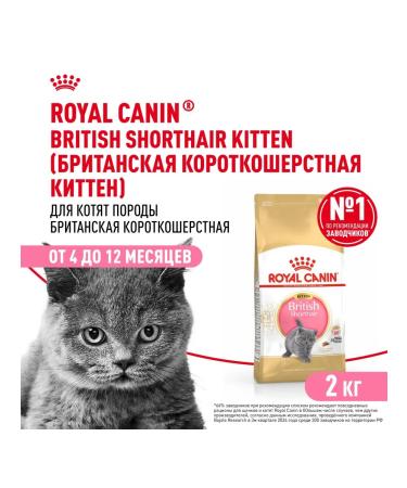 ROYAL CANIN Dry food for British Shorthair kittens 2 kg - Buy Online on GoSupps.com