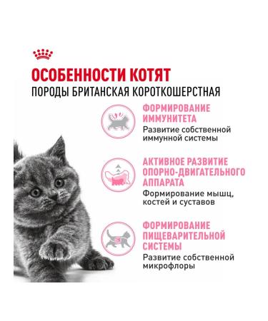 ROYAL CANIN Dry food for British Shorthair kittens 2 kg - Buy Online on GoSupps.com