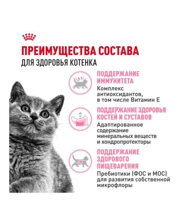 ROYAL CANIN Dry food for British Shorthair kittens 2 kg - Buy Online on GoSupps.com