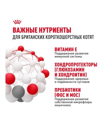 ROYAL CANIN Dry food for British Shorthair kittens 2 kg - Buy Online on GoSupps.com