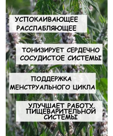 Tree of Love The motherwort is dried - Buy Online on GoSupps.com