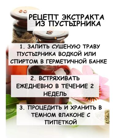 Tree of Love The motherwort is dried - Buy Online on GoSupps.com