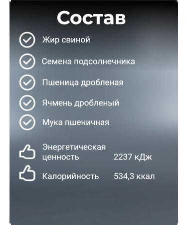 Family Workshop Big Bird Fat cylinders for birds 700 g (2 pcs 350 g) - Buy Online on GoSupps.com