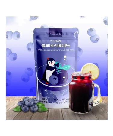 Red Dragon St Petersburg Drink - concentrate taste of blueberries Cantabile 230 ml