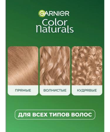 Garnier Persistent hair cream Color Naturals 8.132 - Buy Online on GoSupps.com