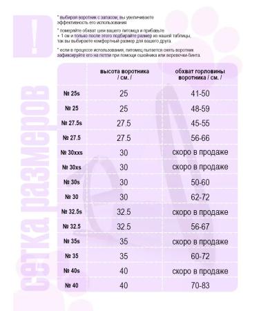 CollarsCase Dog collar - Buy Online on GoSupps.com