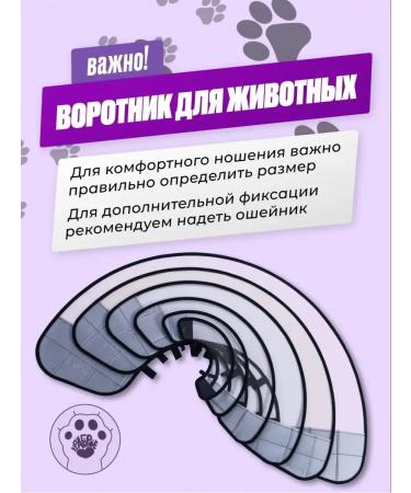 CollarsCase Dog collar - Buy Online on GoSupps.com