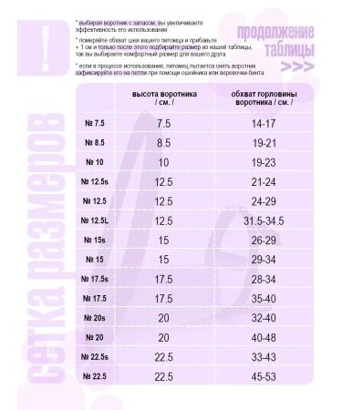 CollarsCase Dog collar - Buy Online on GoSupps.com