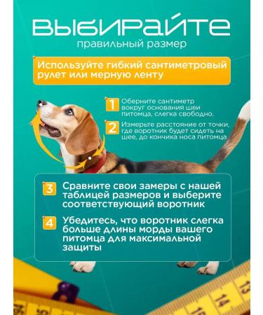 CollarsCase Veterinary protective collar for cats and dogs height 12.5 - Buy Online on GoSupps.com