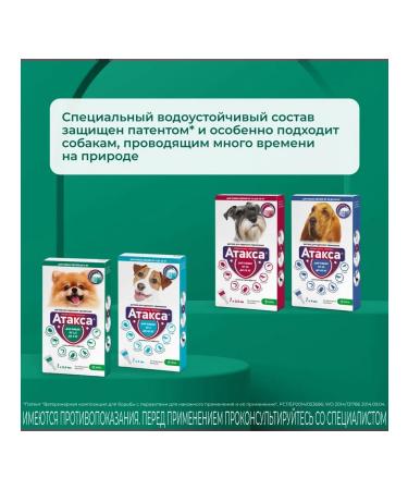 KRKA Attles of dog drops weighing up to 4 kg - Buy Online on GoSupps.com