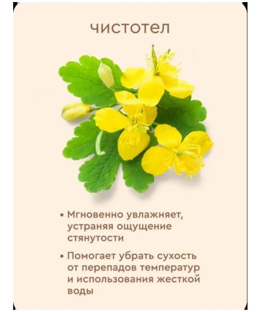 Spring Set for kids 0+ 6 pcs - Buy Online on GoSupps.com