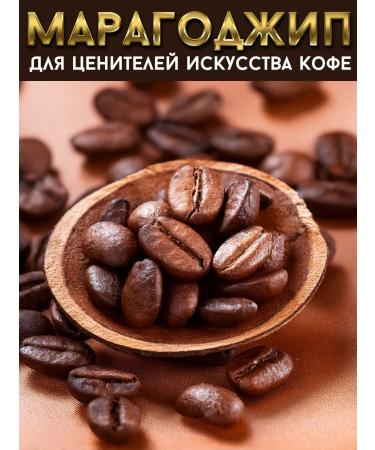 Coffee Bean Maragojip Nicaragua in grains of 1 kg of arabica 100% natural - Buy Online on GoSupps.com