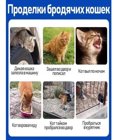 Scarecrust of stray cats 300ml - Buy Online on GoSupps.com