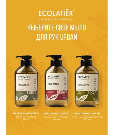 Ecolatier Liquid hand soap tangerine & mint 400 ml 2 pcs - Buy Online on GoSupps.com