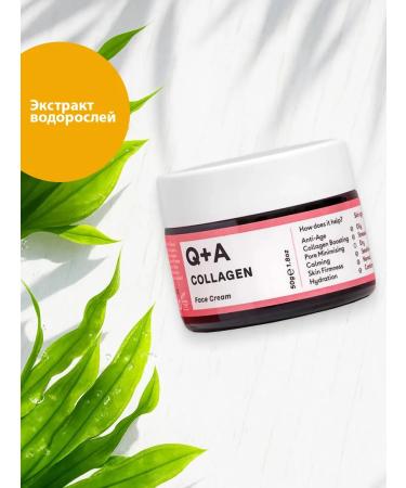 Q+A A rejuvenating face cream with a collagen 50 g - Buy Online on GoSupps.com