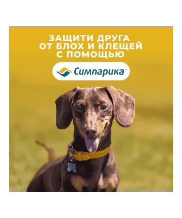 Zoetis Simeparika from fleas and ticks for dogs 5.1-10 kg 3 tablets - Buy Online on GoSupps.com