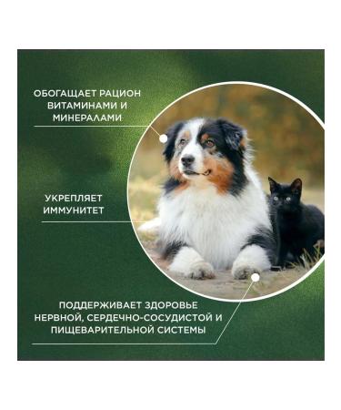 ProPhyto Vitamins for cats and dogs multivitamin 40 tablets - Buy Online on GoSupps.com