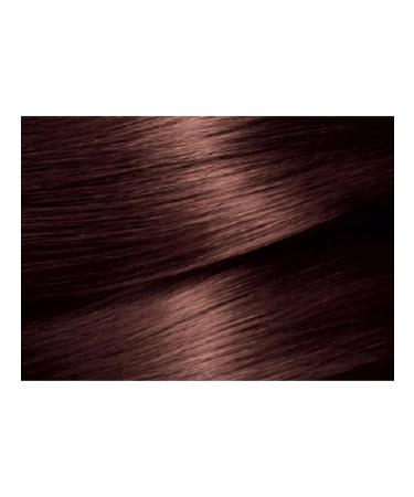 Garnier Hair Cream Color Naturals 5.25 Hot Chocolate with - Buy Online on GoSupps.com