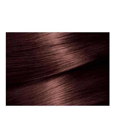 Garnier Hair Cream Color Naturals 5.25 Hot Chocolate with - Buy Online on GoSupps.com