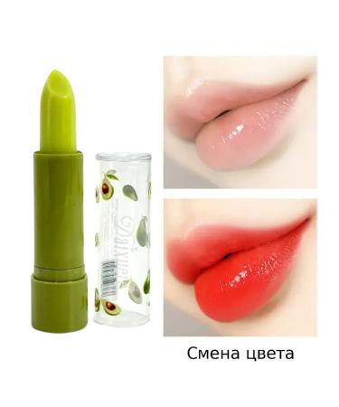 GAR Moisturizing lipstick with color - Buy Online on GoSupps.com