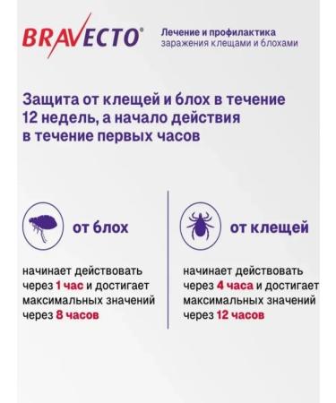 bravecto Dog tablets 1000 mg 4.5-10 kg - Buy Online on GoSupps.com
