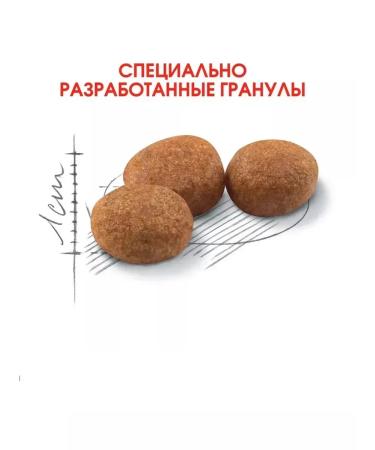 ROYAL CANIN Dry sterilated 37 food for sterilized cats 2kg - Buy Online on GoSupps.com