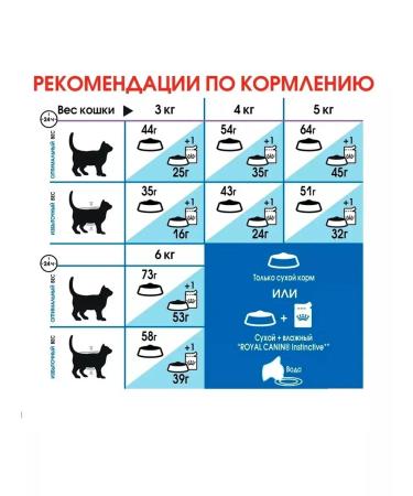 ROYAL CANIN Indoor Long Hair food for home cats 2 kg - Buy Online on GoSupps.com