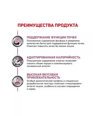 ROYAL CANIN Dry food Renal Special for cats 2 kg - Buy Online on GoSupps.com