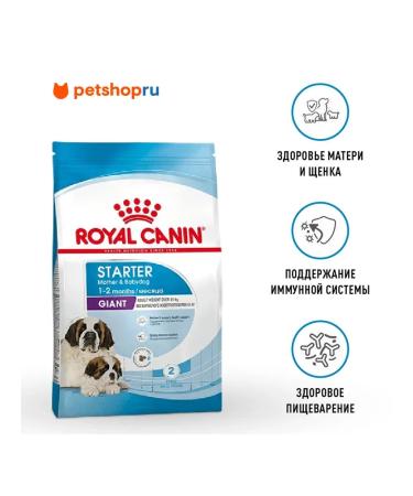 ROYAL CANIN Dry food for giant puppies up to 2 months Giant Starter 4 kg