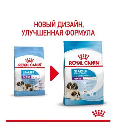 ROYAL CANIN Dry food for giant puppies up to 2 months Giant Starter 4 kg - Buy Online on GoSupps.com