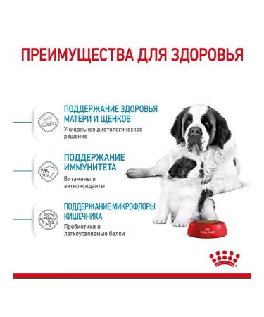 ROYAL CANIN Dry food for giant puppies up to 2 months Giant Starter 4 kg - Buy Online on GoSupps.com