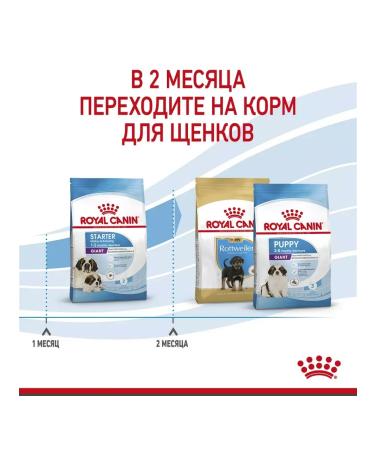 ROYAL CANIN Dry food for giant puppies up to 2 months Giant Starter 4 kg - Buy Online on GoSupps.com