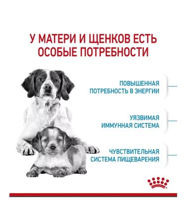 ROYAL CANIN Feed for medium puppies up to 2 months. Medium Starter 12 kg - Buy Online on GoSupps.com