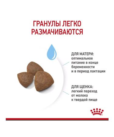 ROYAL CANIN Feed for medium puppies up to 2 months. Medium Starter 12 kg - Buy Online on GoSupps.com