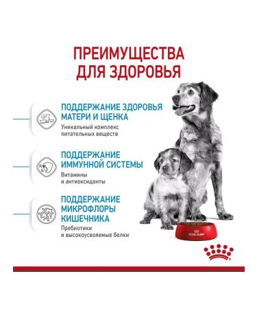 ROYAL CANIN Feed for medium puppies up to 2 months. Medium Starter 12 kg - Buy Online on GoSupps.com