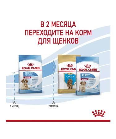 ROYAL CANIN Feed for medium puppies up to 2 months. Medium Starter 12 kg - Buy Online on GoSupps.com