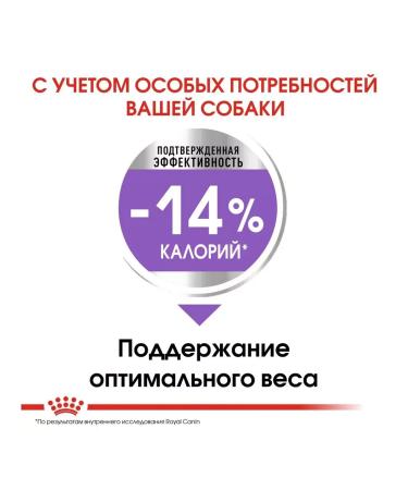 ROYAL CANIN Mini sterilized food steril. Small -tree suits 3kg - Buy Online on GoSupps.com