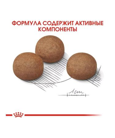 ROYAL CANIN Maxi digestive feed for large dogs with problems. Gastrointestinal tract 3 kg - Buy Online on GoSupps.com