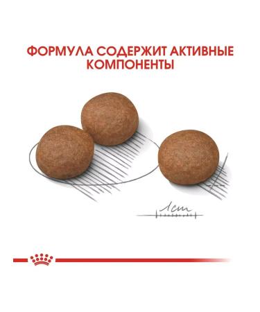 ROYAL CANIN Medium digestive feed for medium dogs with problems. Gastrointestinal tract 3 kg - Buy Online on GoSupps.com