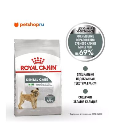 ROYAL CANIN Dry feed for small dogs mini dental car 1 kg