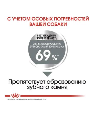 ROYAL CANIN Dry feed for small dogs mini dental car 1 kg - Buy Online on GoSupps.com