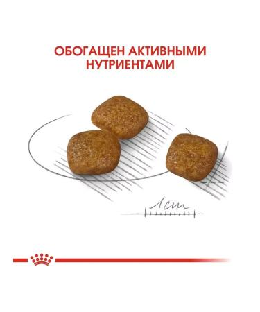 ROYAL CANIN Mini Urinary Care for small dogs ICB prevention 1 kg - Buy Online on GoSupps.com