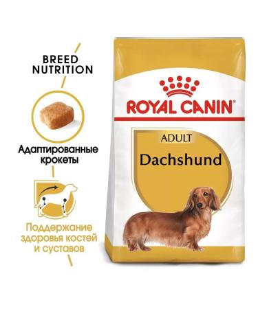 ROYAL CANIN Dachshund Adult Form for Dogs Dachshunds from 10 months 7.5kg - Buy Online on GoSupps.com