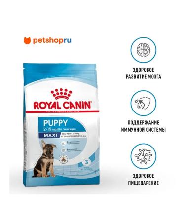ROYAL CANIN Maxi Puppy for large species of 2-15 months 3 kg