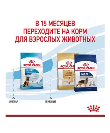 ROYAL CANIN Maxi Puppy for large species of 2-15 months 3 kg - Buy Online on GoSupps.com