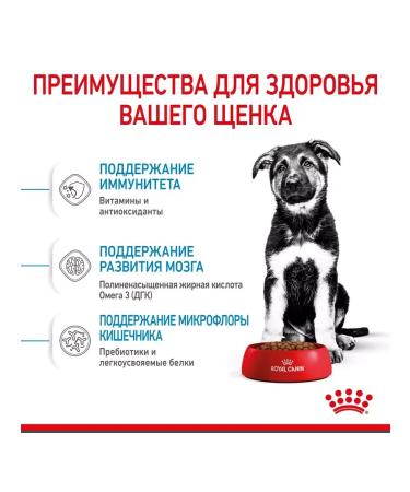 ROYAL CANIN Maxi Puppy for large species of 2-15 months 3 kg - Buy Online on GoSupps.com