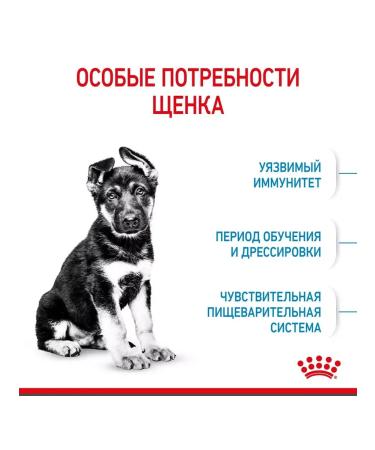 ROYAL CANIN Maxi Puppy for large species of 2-15 months 3 kg - Buy Online on GoSupps.com