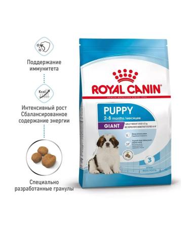 ROYAL CANIN Giant Puppy for puppies 2-8 months. giant breeds 3.5 kg - Buy Online on GoSupps.com