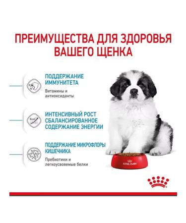 ROYAL CANIN Giant Puppy for puppies 2-8 months. giant breeds 3.5 kg - Buy Online on GoSupps.com