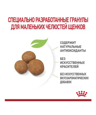 ROYAL CANIN Giant Puppy for puppies 2-8 months. giant breeds 3.5 kg - Buy Online on GoSupps.com